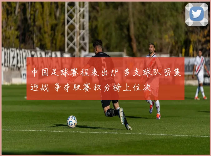 中国足球赛程表出炉 多支球队密集迎战 争夺联赛积分榜上位次
