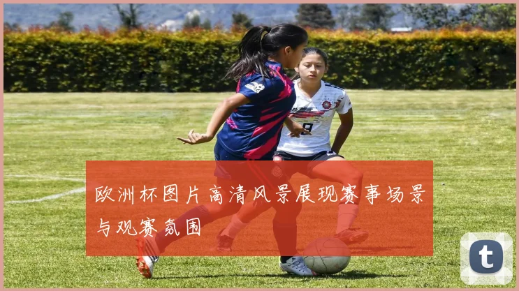 欧洲杯图片高清风景展现赛事场景与观赛氛围